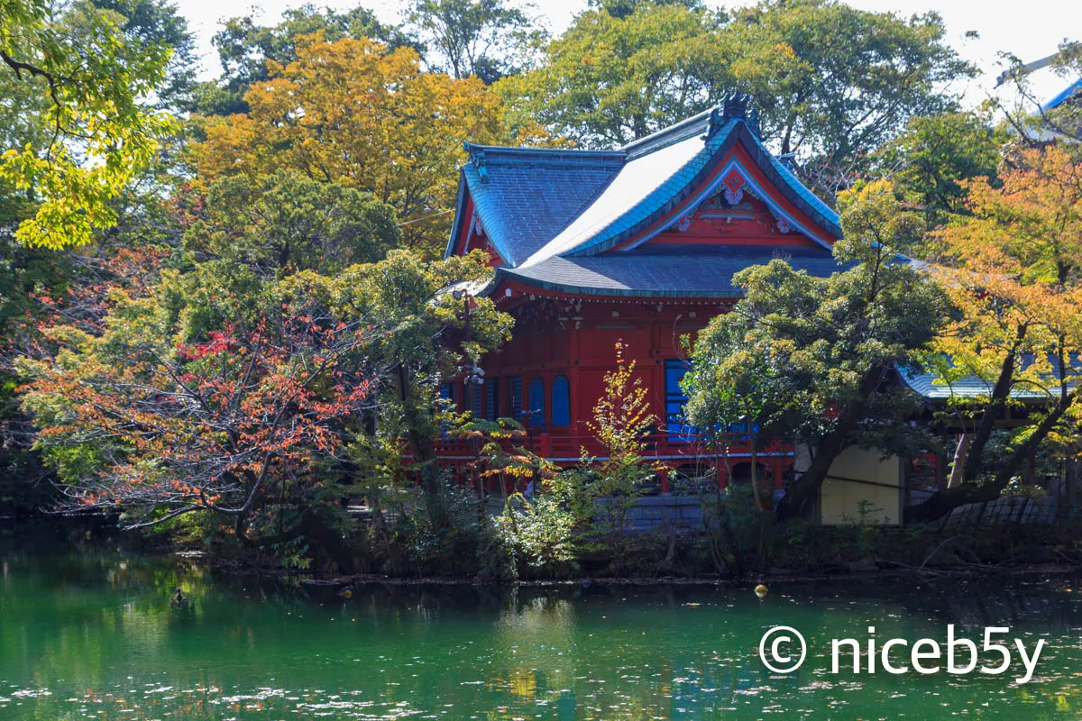 이노카시라 공원 2