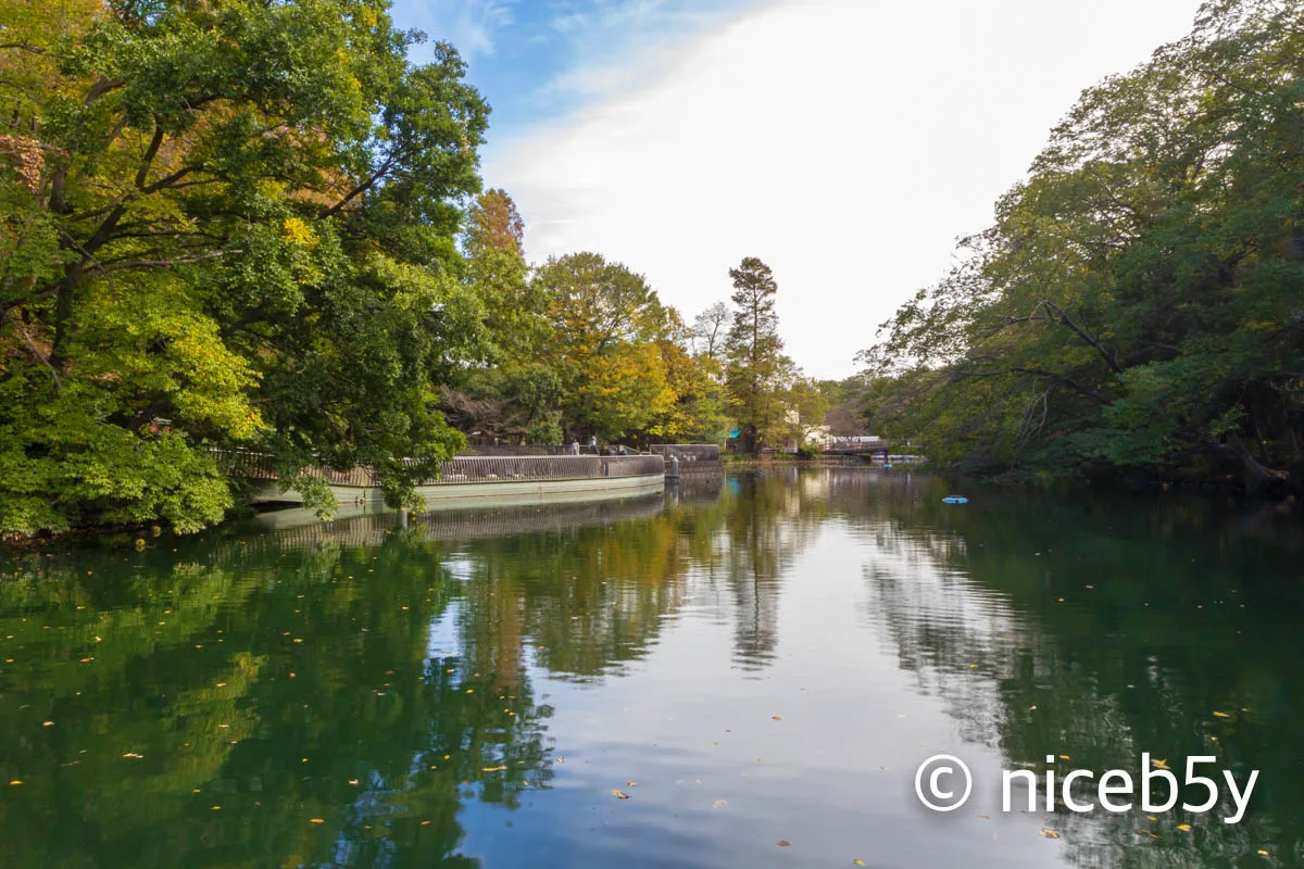 이노카시라 공원 3