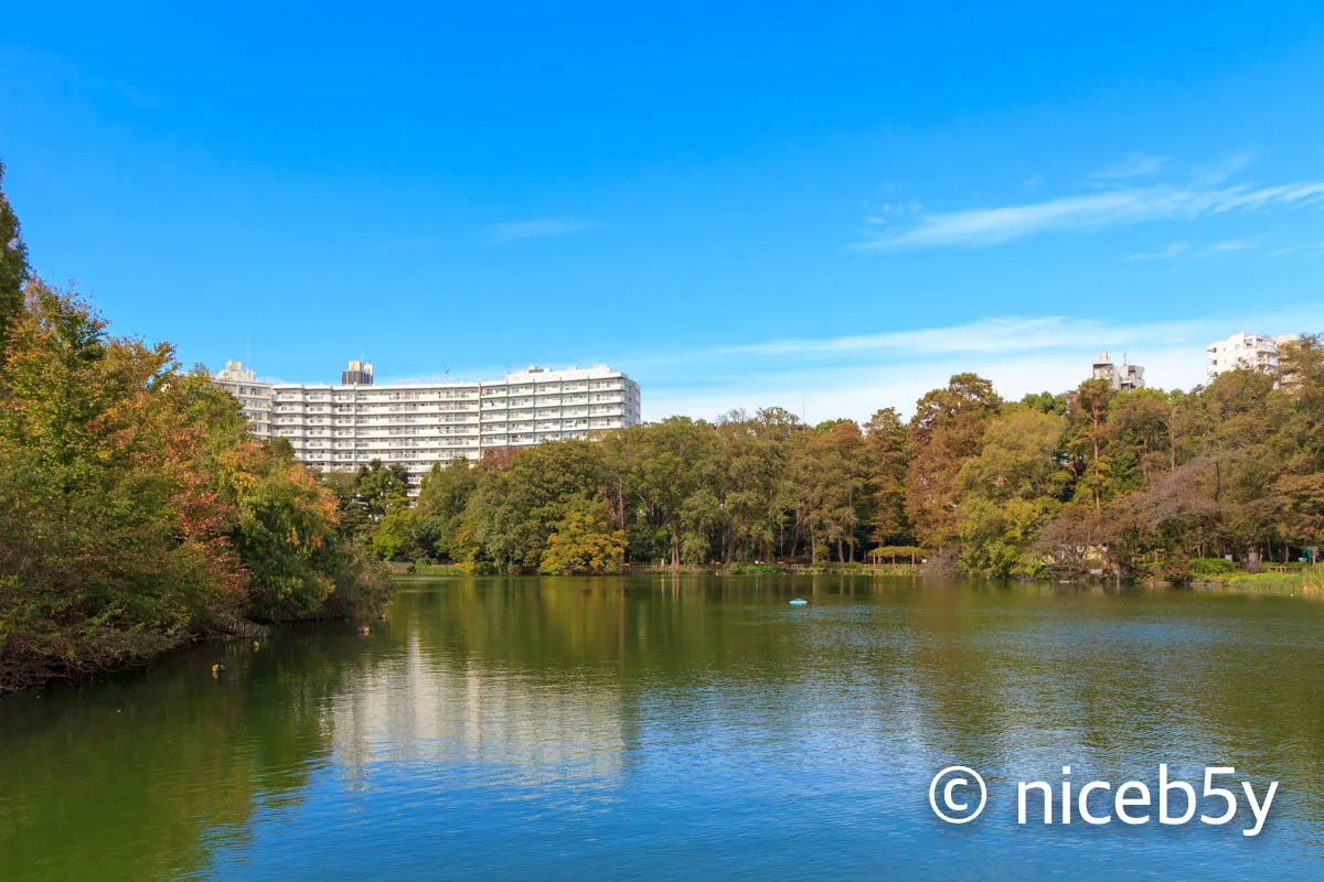 이노카시라 공원 4
