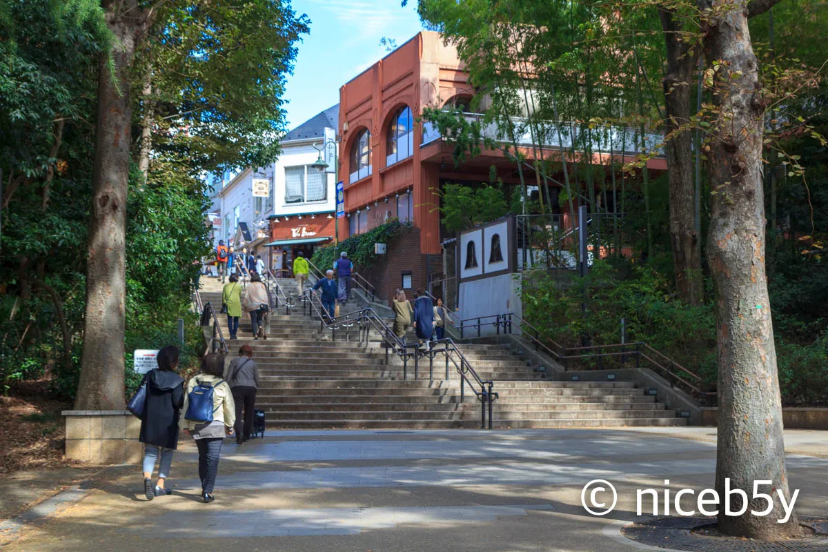 이노카시라 공원 근처