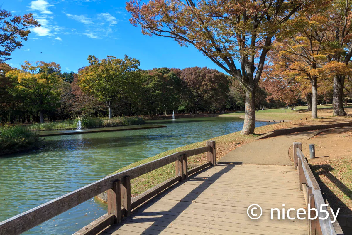 요요기 공원 2