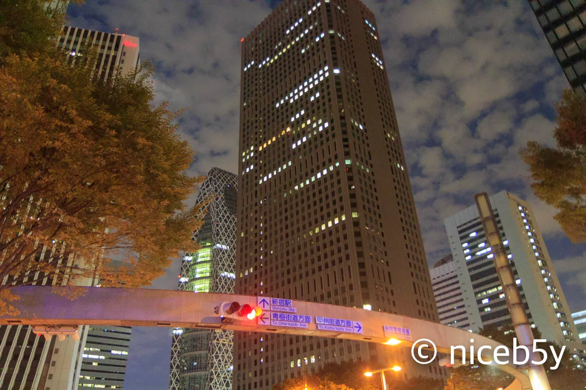 전전전세 신호등