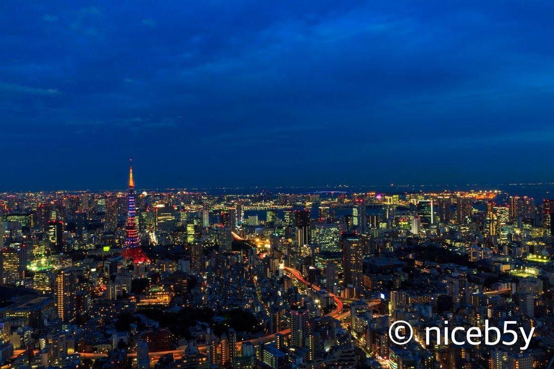 도쿄의 야경